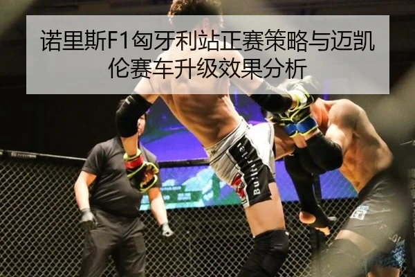 诺里斯F1匈牙利站正赛策略与迈凯伦赛车升级效果分析